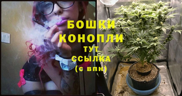 спайс Аркадак