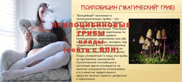 спайс Аркадак