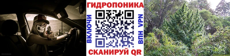 Конопля MAZAR  blacksprut зеркало  darknet наркотические препараты  Волгоград 